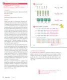 Miniatura página 22 de Sumo Primero – Segundo Básico | Texto del Estudiante MINEDUC – Descargar PDF · 2024