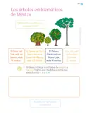 Miniatura página 108 de Múltiples lenguajes. Trazos y números.   Libro de Educación Primaria Grado 1°  Ciclo Escolar 2025 - 2026