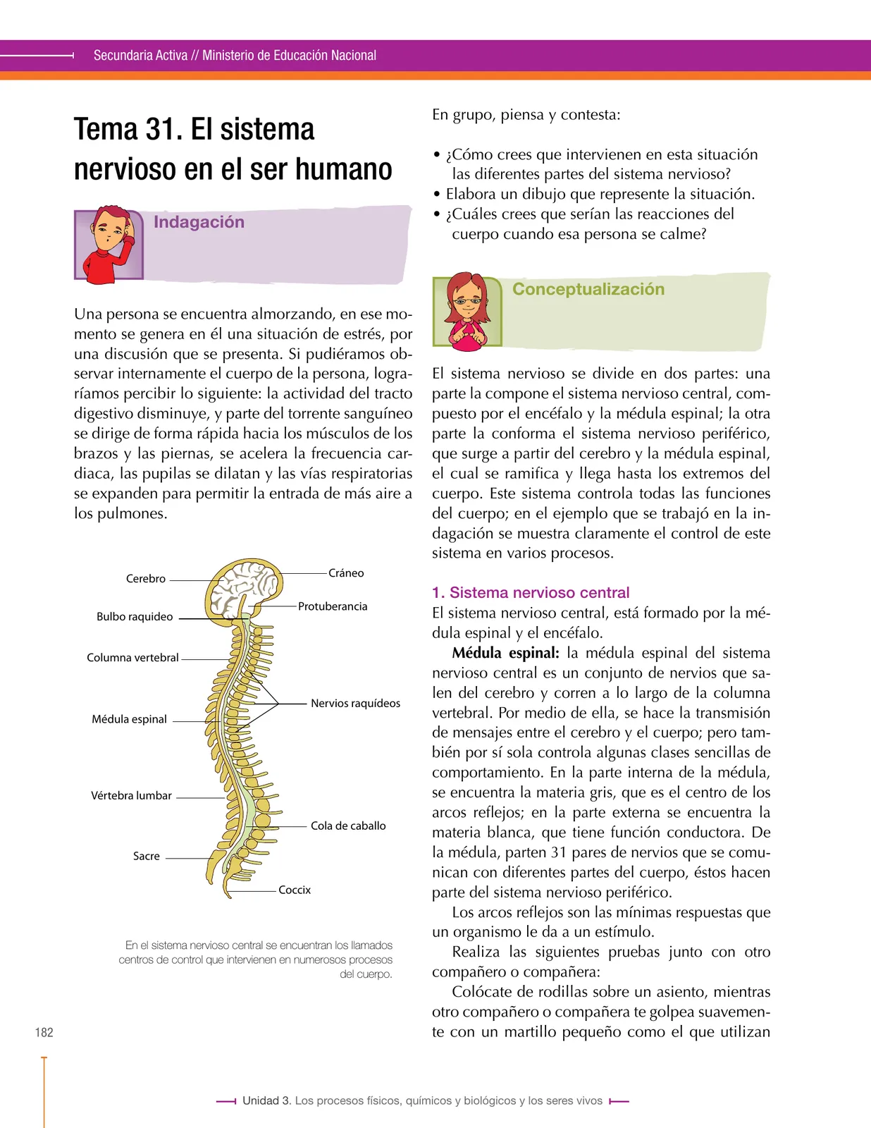 Miniatura página 182 de Ciencias Naturales 8° · Secundaria Activa