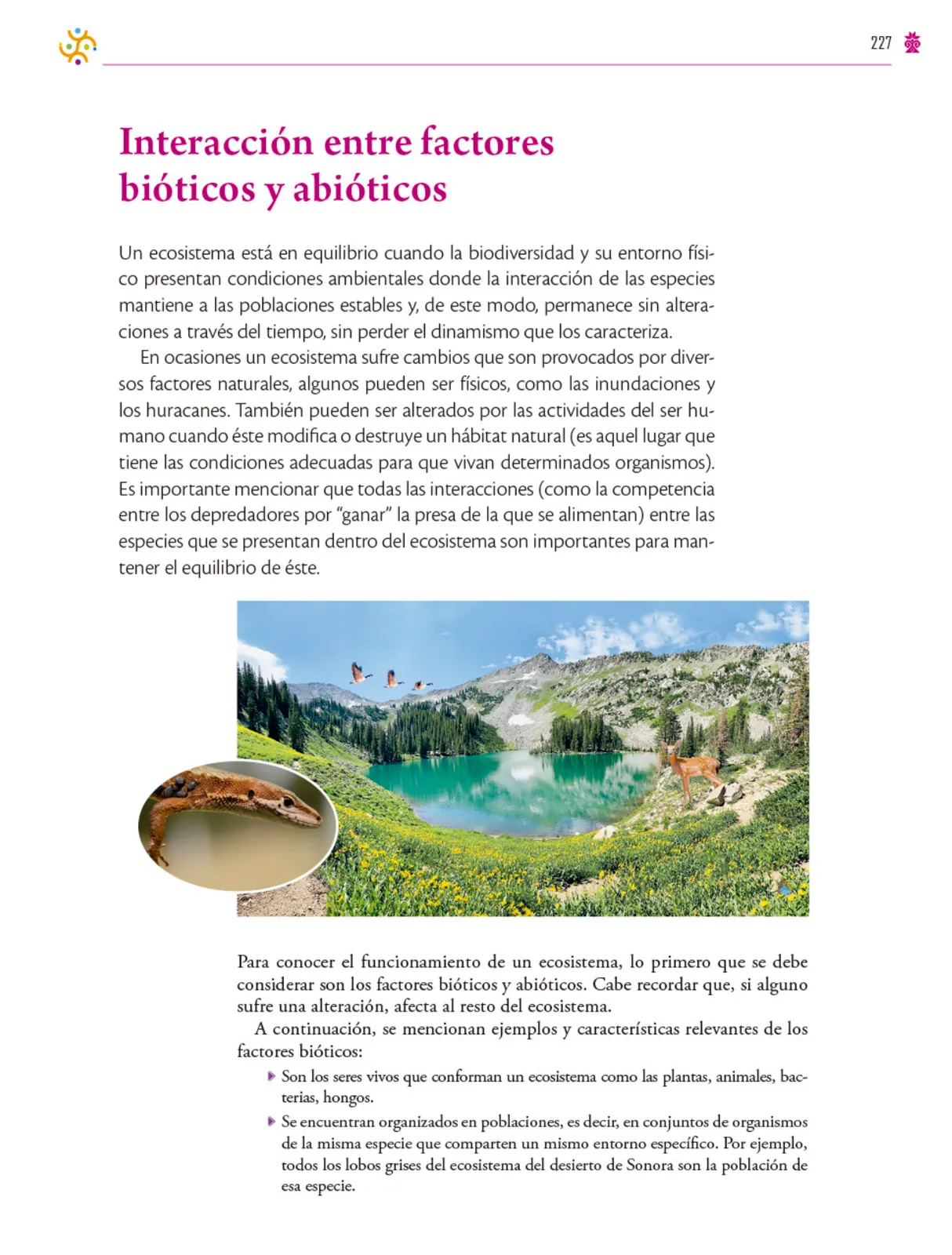 Página 228 de Colección Ximhai. Saberes y pensamiento científico. Libro de Educación Secundaria Grado 1° Ciclo Escolar 2025 - 2026