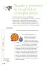 Miniatura página 237 de Proyectos de Aula.   Libro de Educación Primaria Grado 4°  Ciclo Escolar 2025 - 2026