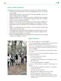 Miniatura página 240 de Colección Ximhai. Lenguajes.   Libro de Educación Telesecundaria Grado 1°  Ciclo Escolar 2025 - 2026