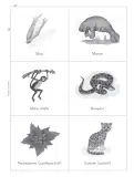 Miniatura página 88 de Múltiples lenguajes. Trazos y palabras.   Libro de Educación Primaria Grado 2°  Ciclo Escolar 2025 - 2026