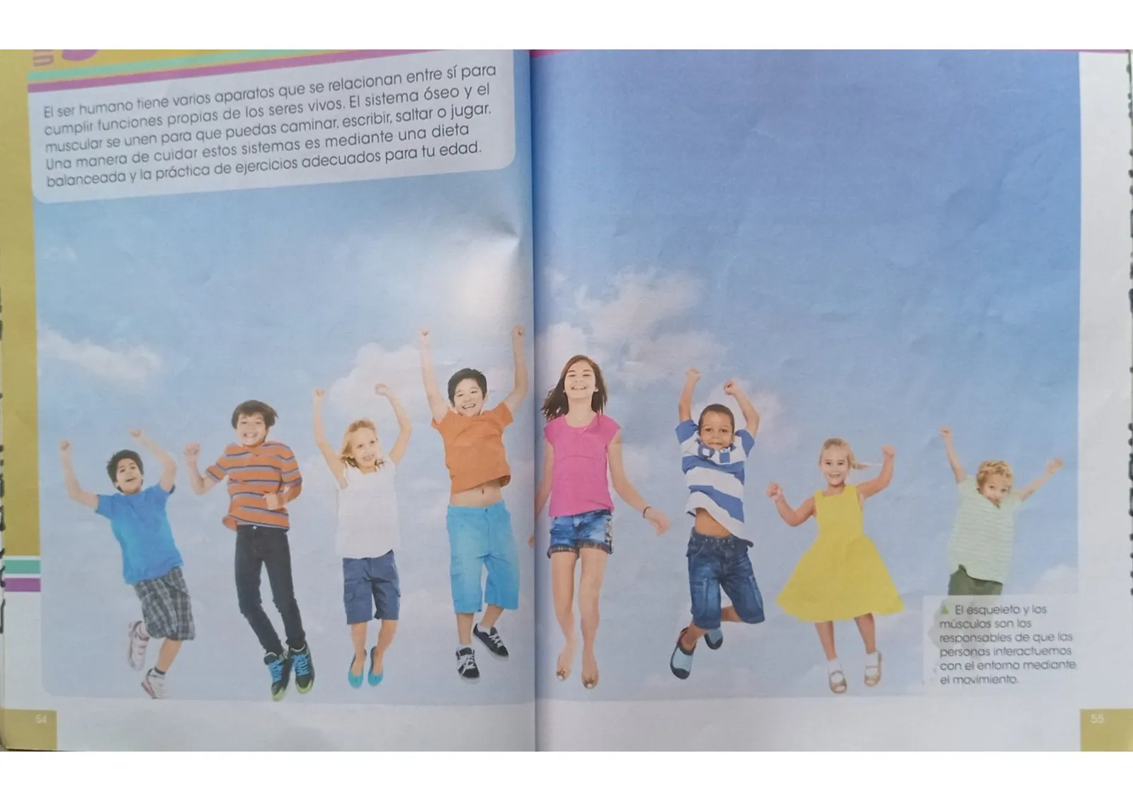 Miniatura página 26 de Ciencias Naturales · 3 EGB · 2024