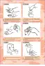 Miniatura página 160 de Lengua de señas peruana : guía para el aprendizaje de la lengua de señas peruana, vocabulario básico · 2015
