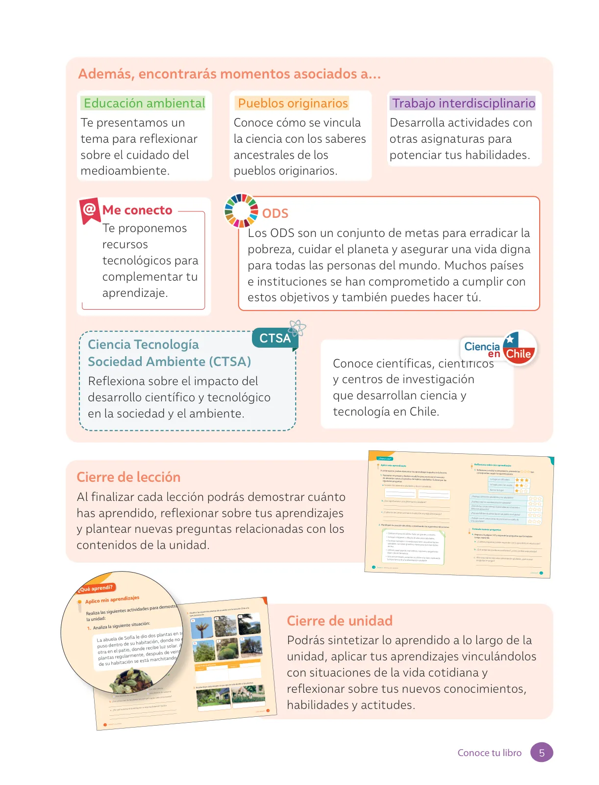 Miniatura página 7 de Ciencias Naturales – Tercero Básico | Texto del Estudiante MINEDUC – Descargar PDF · 2024