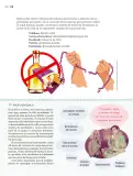 Miniatura página 139 de Nuestros saberes: Libro para alumnos, maestros y familia.   Libro de Educación Primaria Grado 5°  Ciclo Escolar 2025 - 2026