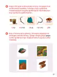 Miniatura página 29 de Ñawichana Maytu 1 Quechua - Chanka. Texto de Comunicación del 1° Primaria - Quechua Chanka · 2023