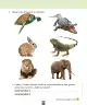 Miniatura página 122 de Ciencias Naturales – Segundo Básico | Texto del Estudiante MINEDUC – Descargar PDF · 2024
