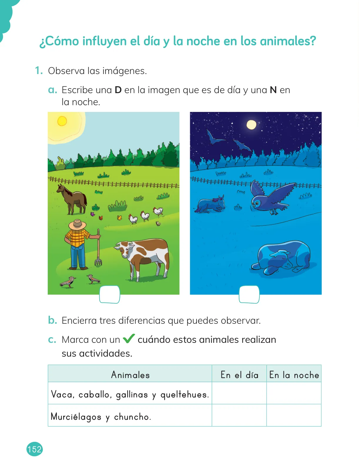 Miniatura página 154 de Ciencias Naturales – Primero Básico | Texto del Estudiante (MINEDUC) – Descargar PDF · 2024