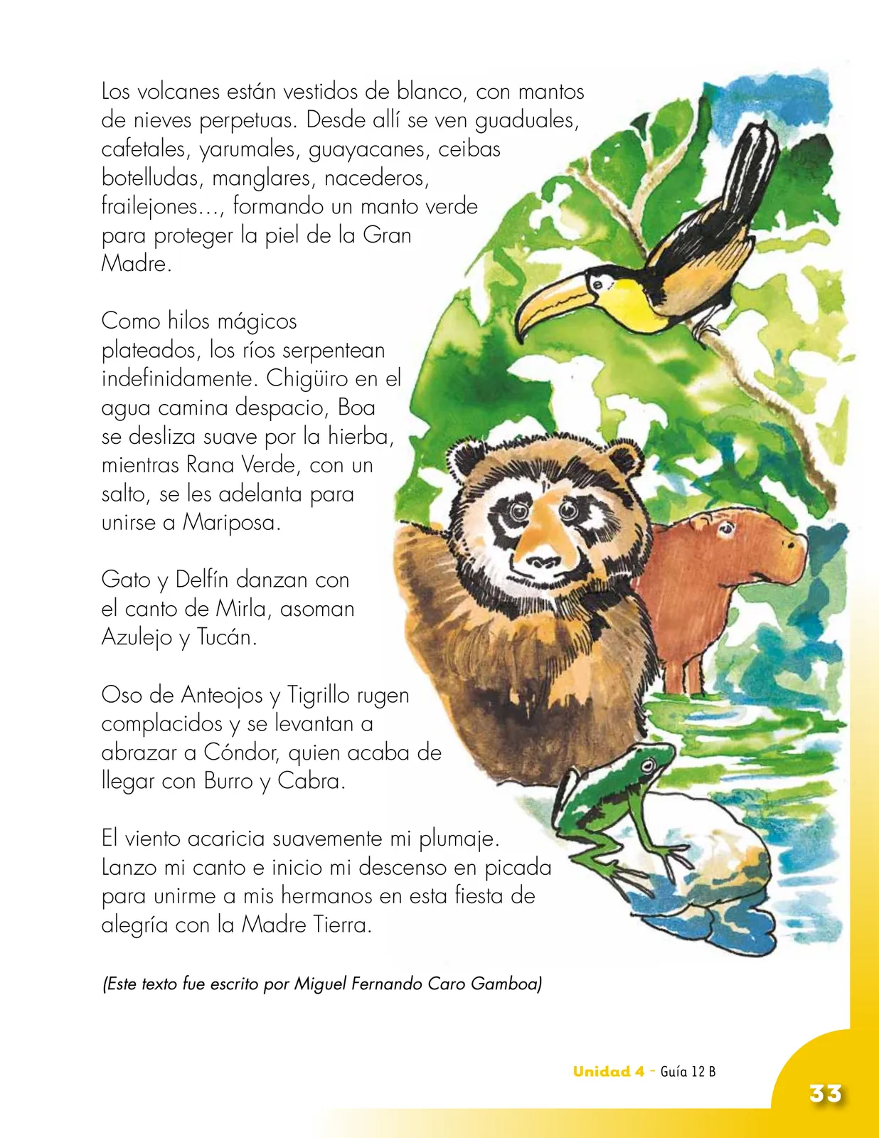 Página 33