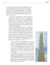 Miniatura página 340 de Colección Nanahuatzin. Ética, naturaleza y sociedades.   Libro de Educación Telesecundaria Grado 3°  Ciclo Escolar 2025 - 2026