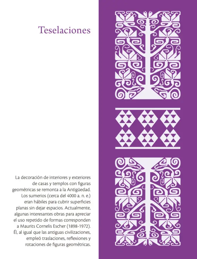 Página 53 de Colección Sk´asolil. Saberes y pensamiento científico. Libro de Educación Secundaria Grado 2° Ciclo Escolar 2025 - 2026