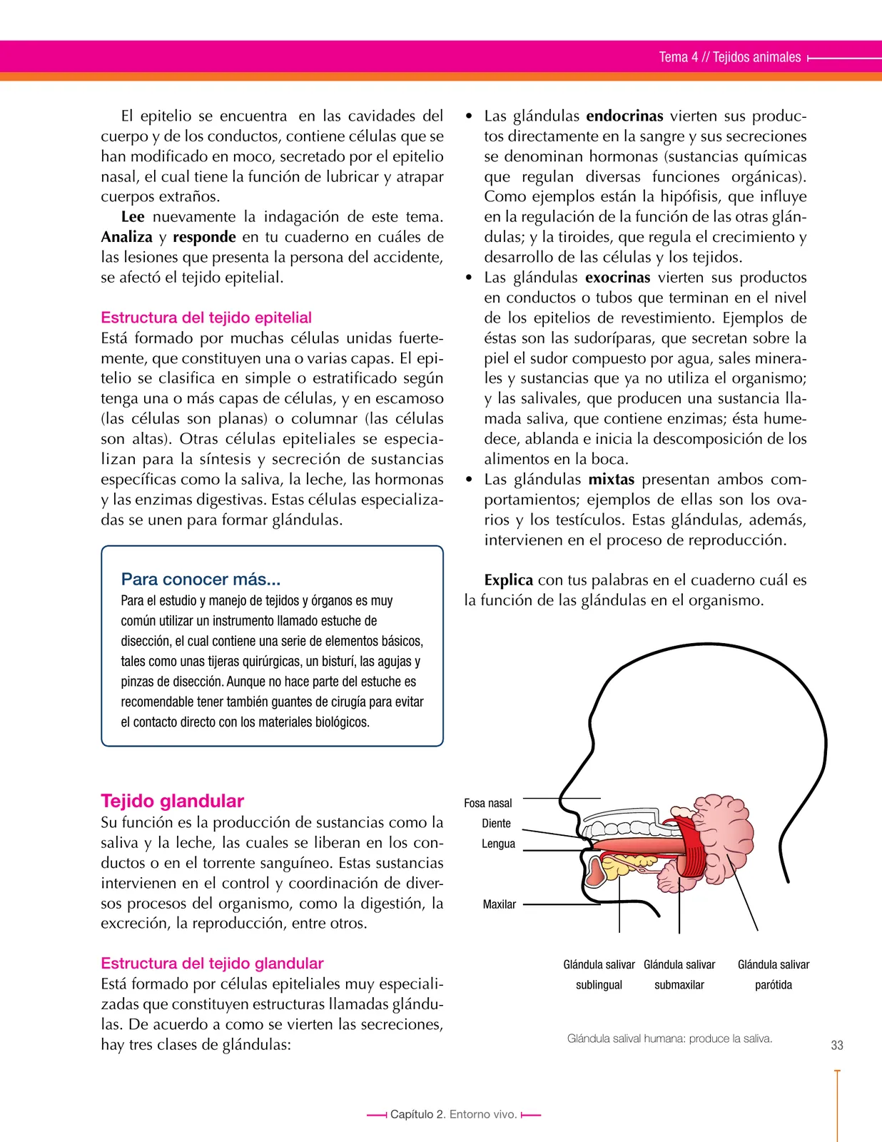 Página 33 de Ciencias Naturales 7° · Secundaria Activa