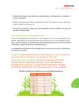 Pág 16