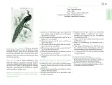Miniatura página 140 de Posibilidades de trabajo para la acción transformadora y el codiseño. Ficheros. Fase 2  Libro de Educación Preescolar Grado 1°, 2°, 3°  Ciclo Escolar 2025 - 2026