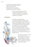Miniatura página 31 de Proyectos de Aula.   Libro de Educación Primaria Grado 3°  Ciclo Escolar 2025 - 2026