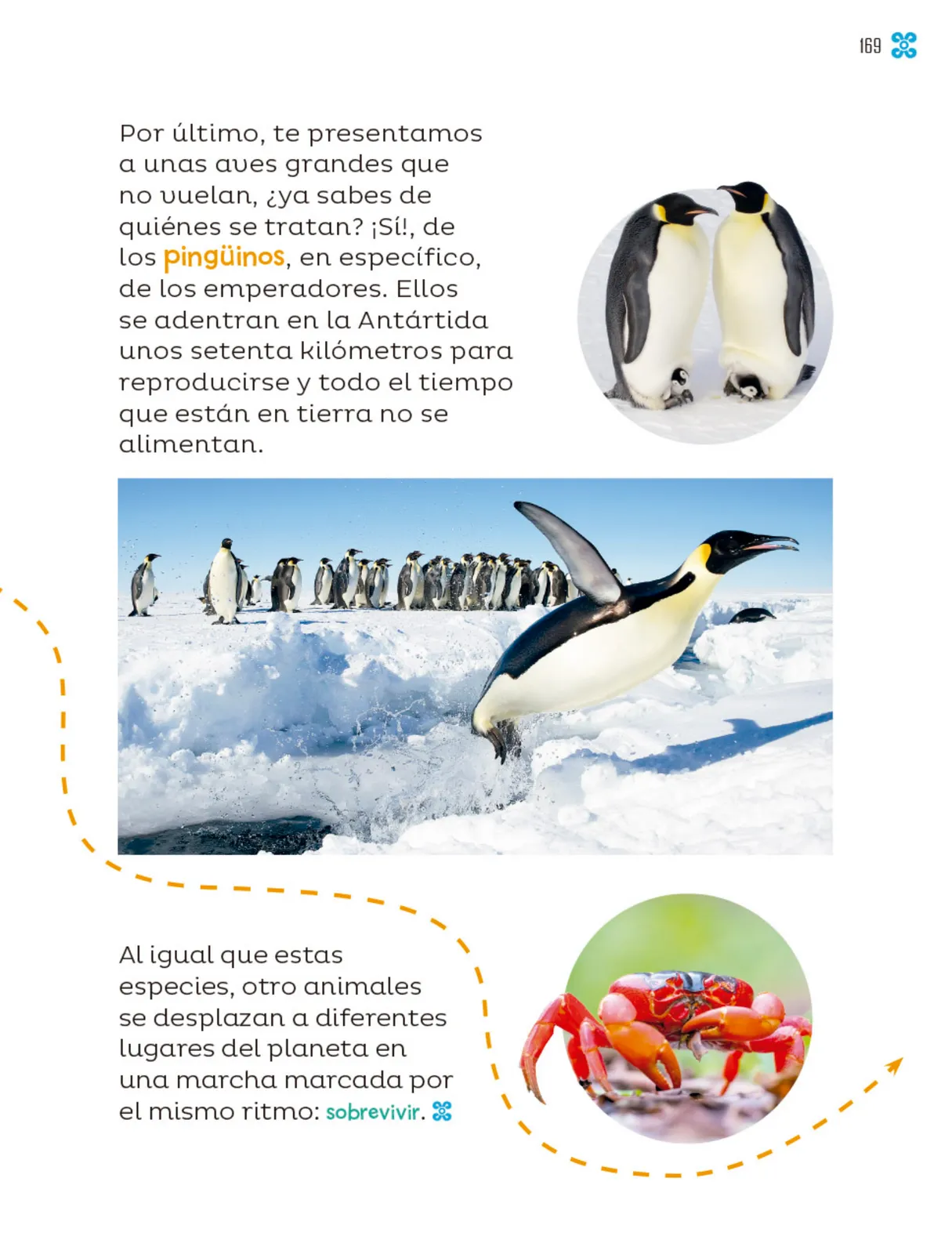 Página 170 de Múltiples lenguajes. Libro de Educación Primaria Grado 1° Ciclo Escolar 2025 - 2026