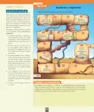 Miniatura página 41 de Ciencias Naturales – Primero Básico | Texto del Estudiante (MINEDUC) – Descargar PDF · 2024