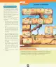 Miniatura página 41 de Ciencias Naturales – Primero Básico | Texto del Estudiante (MINEDUC) – Descargar PDF · 2024