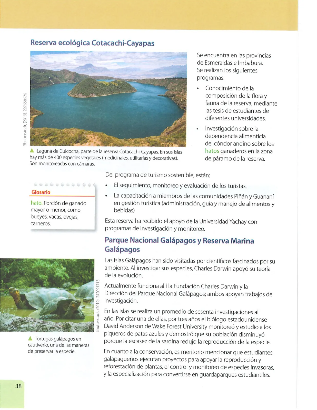 Miniatura página 37 de Ciencias Naturales 7° · Egb 7 Ciencias Naturales 2024 · 2024