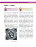 Miniatura página 139 de Ciencias Naturales 9° · Secundaria Activa
