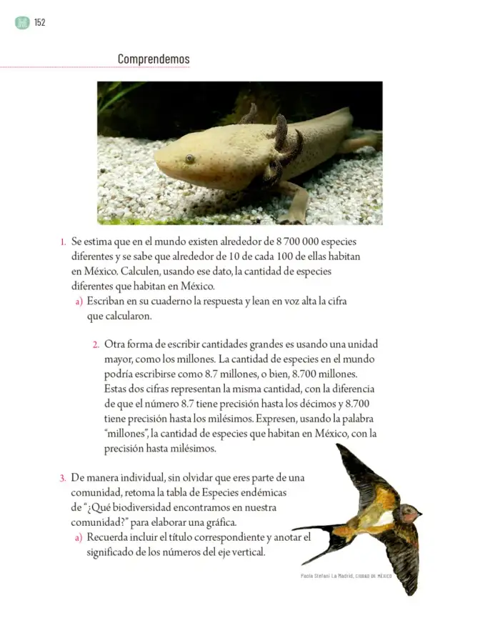 Página 155 de Proyectos Comunitarios. Libro de Educación Primaria Grado 5° Ciclo Escolar 2025 - 2026