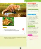 Miniatura página 96 de Ciencias Naturales – Primero Básico | Texto del Estudiante (MINEDUC) – Descargar PDF · 2024
