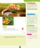 Miniatura página 96 de Ciencias Naturales – Primero Básico | Texto del Estudiante (MINEDUC) – Descargar PDF · 2024