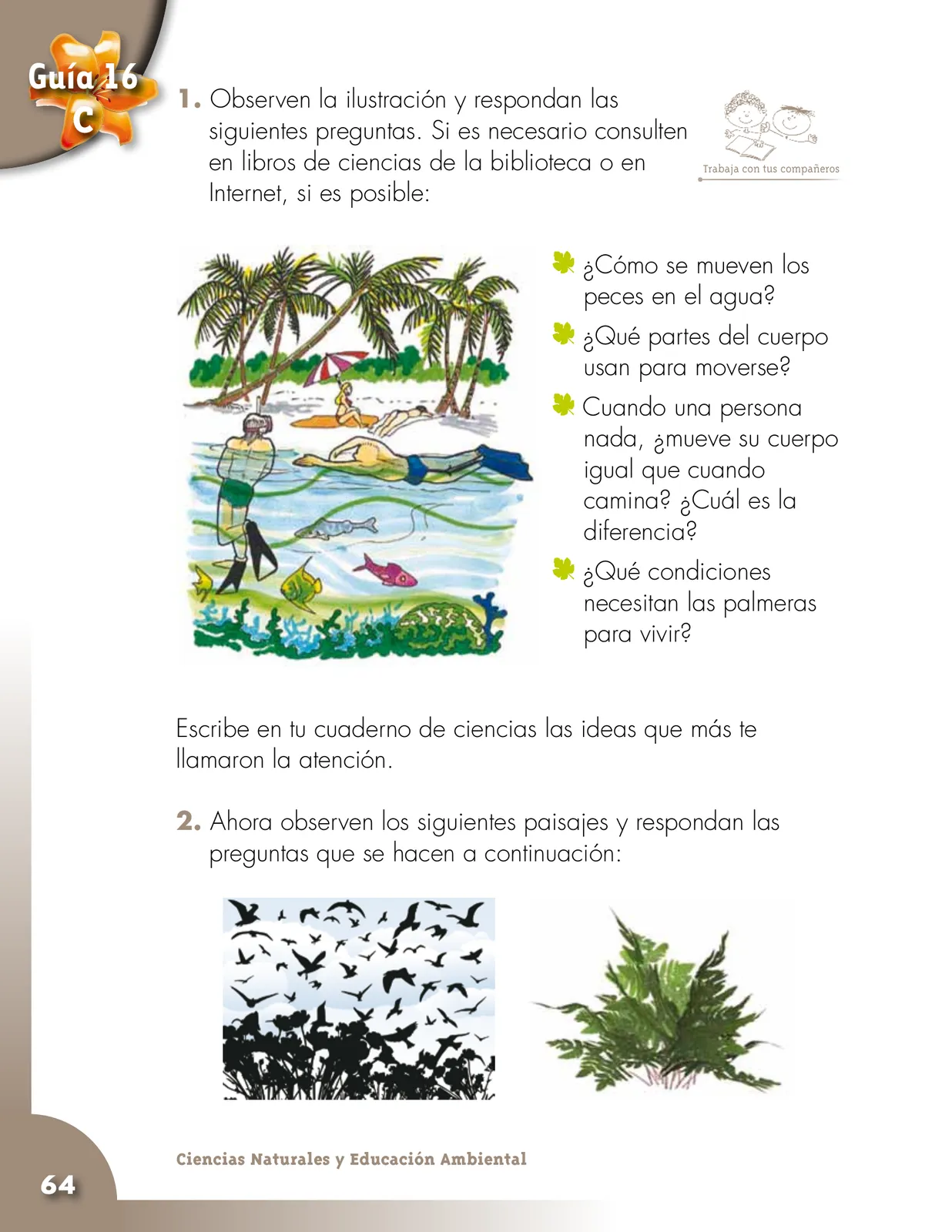 Página 64 de Ciencias Naturales 2° · Cartilla 02