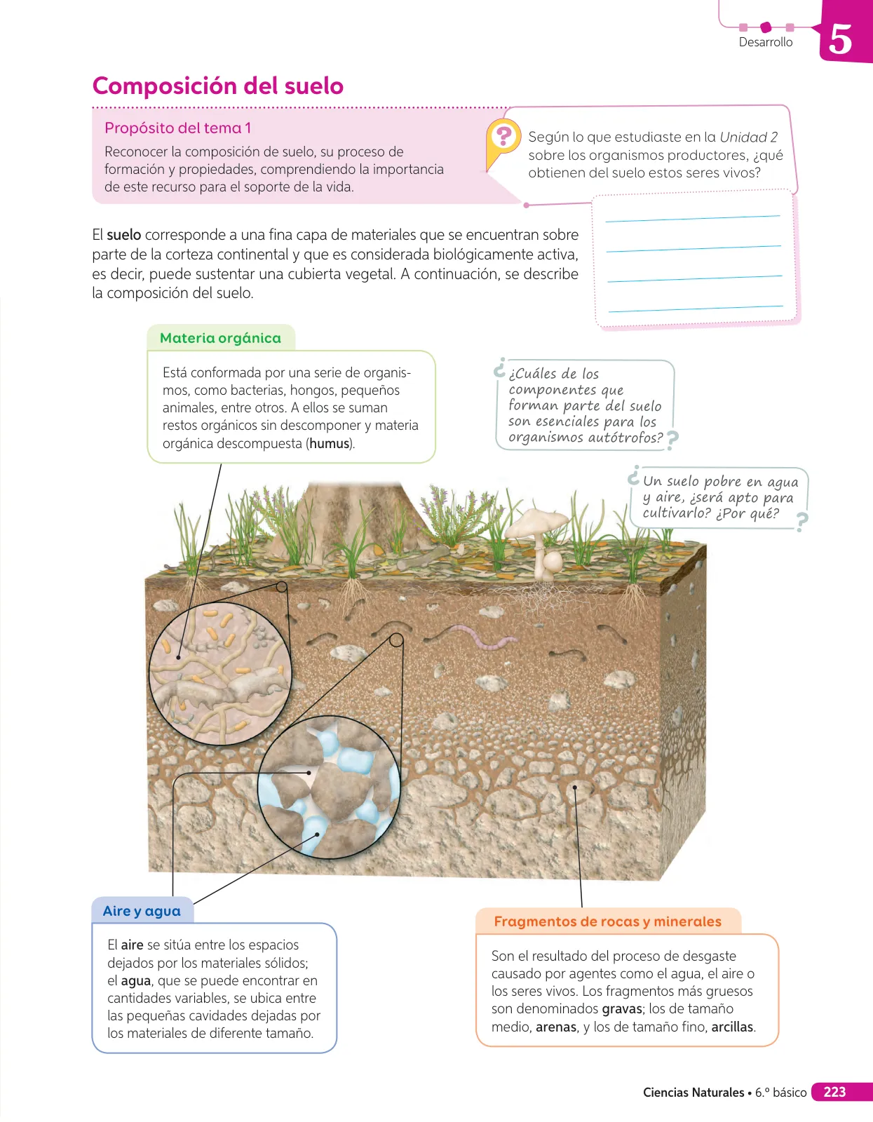 Página 174 de Libro de Ciencias Naturales – Quinto Básico | Texto del Estudiante MINEDUC – Descargar PDF · 2024