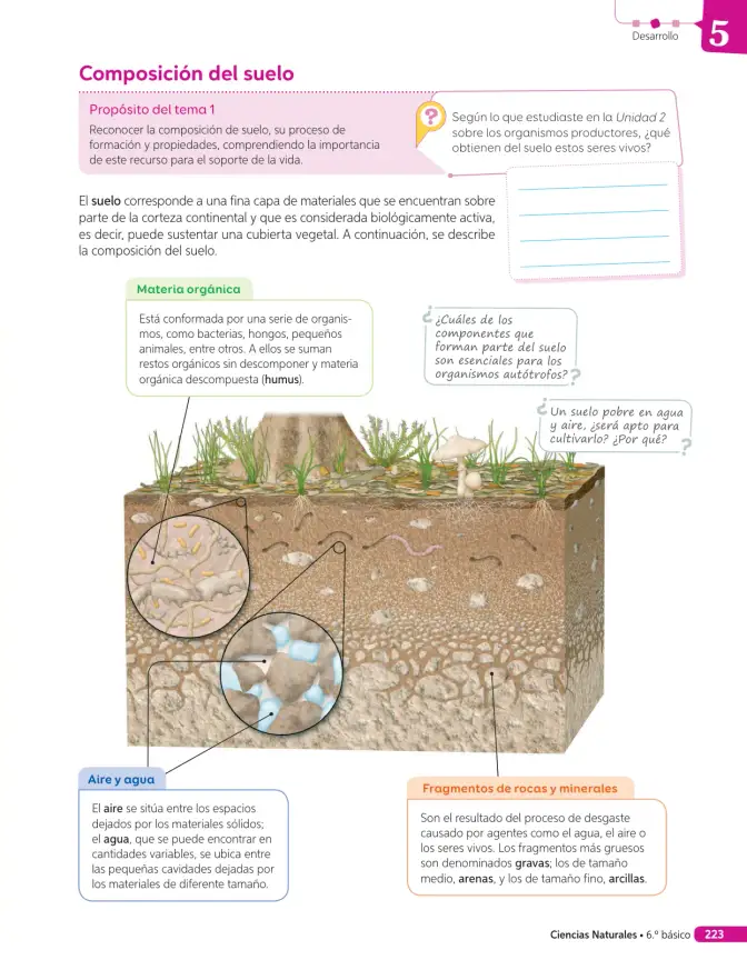 Página 174 de Libro de Ciencias Naturales – Quinto Básico | Texto del Estudiante MINEDUC – Descargar PDF · 2024