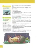 Miniatura página 120 de Lengua Y Literatura 9° · Egb 9 Lengua Y Literatura 2025 · 2025