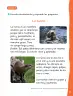 Miniatura página 74 de Lenguaje y Comunicación – Primero Básico | Texto del Estudiante MINEDUC – Descargar PDF · 2024