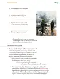 Miniatura página 182 de Proyectos Comunitarios.   Libro de Educación Primaria Grado 5°  Ciclo Escolar 2025 - 2026