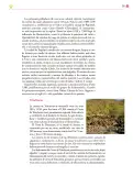 Miniatura página 252 de Colección Ximhai. Ética, naturaleza y sociedades.   Libro de Educación Secundaria Grado 1°  Ciclo Escolar 2025 - 2026