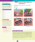 Miniatura página 147 de Ciencias Naturales – Segundo Básico | Texto del Estudiante MINEDUC – Descargar PDF · 2024