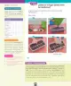 Miniatura página 147 de Ciencias Naturales – Segundo Básico | Texto del Estudiante MINEDUC – Descargar PDF · 2024