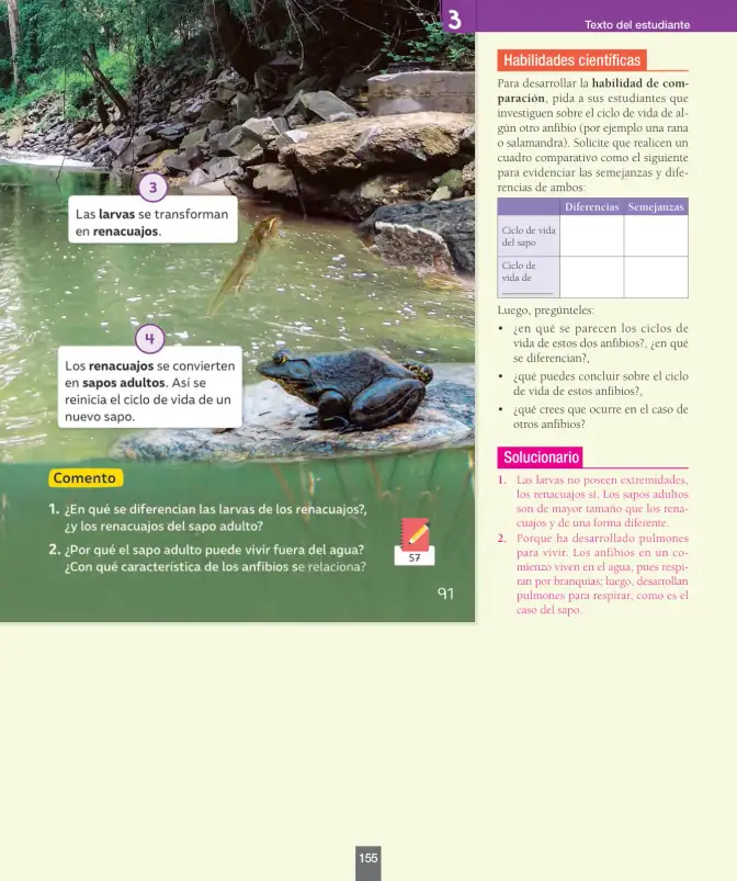 Página 156 de Ciencias Naturales – Segundo Básico | Texto del Estudiante MINEDUC – Descargar PDF · 2024