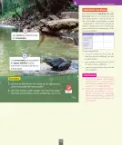 Miniatura página 156 de Ciencias Naturales – Segundo Básico | Texto del Estudiante MINEDUC – Descargar PDF · 2024