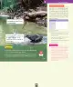 Miniatura página 156 de Ciencias Naturales – Segundo Básico | Texto del Estudiante MINEDUC – Descargar PDF · 2024