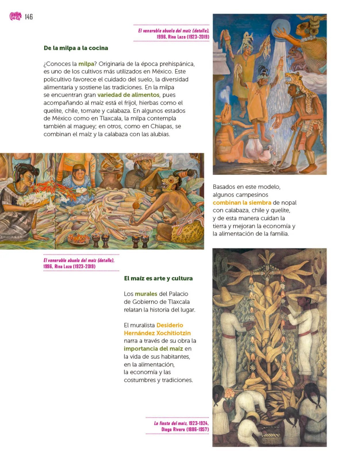 Página 147 de Colección Nanahuatzin. Múltiples lenguajes. Libro de Educación Secundaria Grado 3° Ciclo Escolar 2025 - 2026