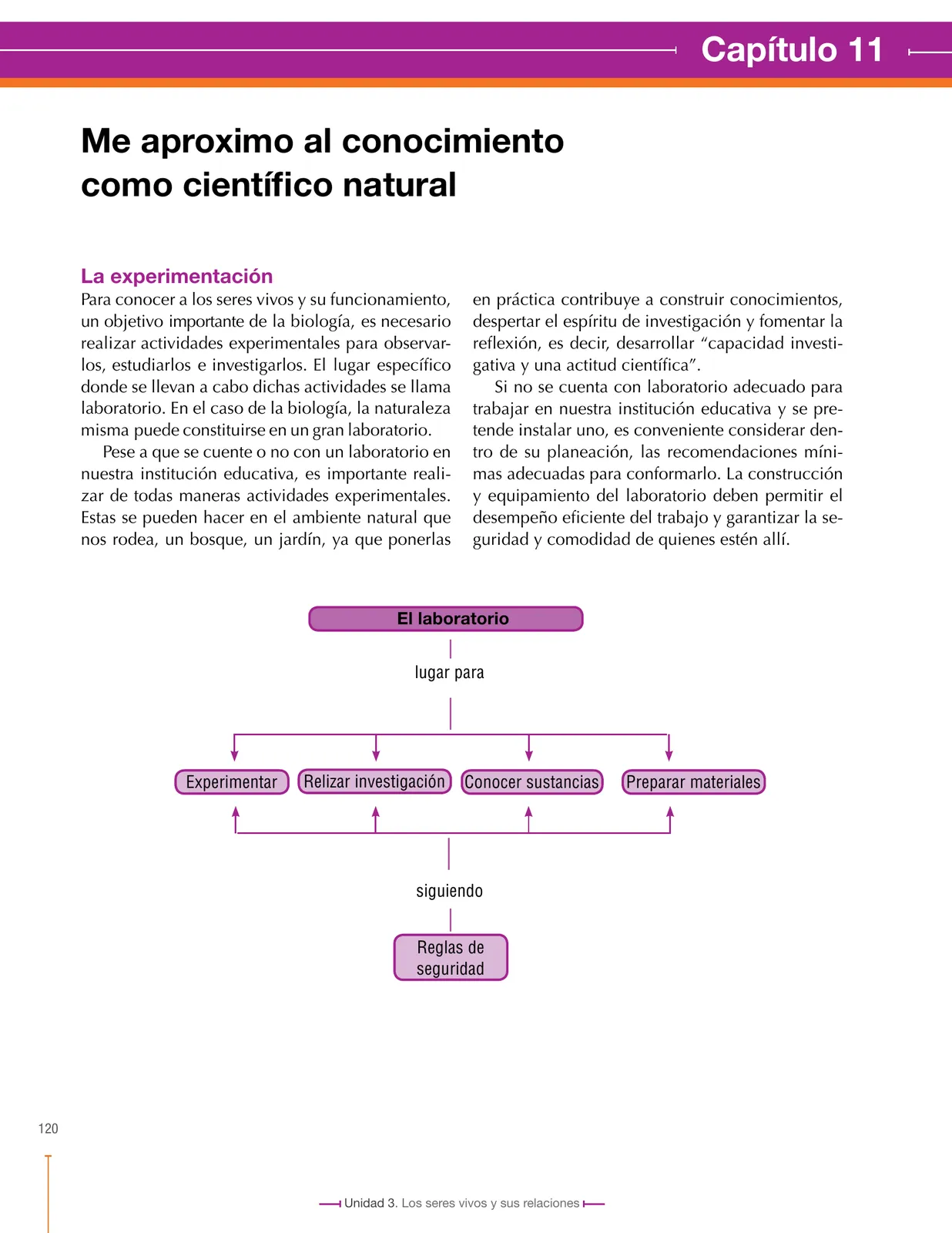 Miniatura página 122 de Ciencias Naturales 6° · Secundaria Activa