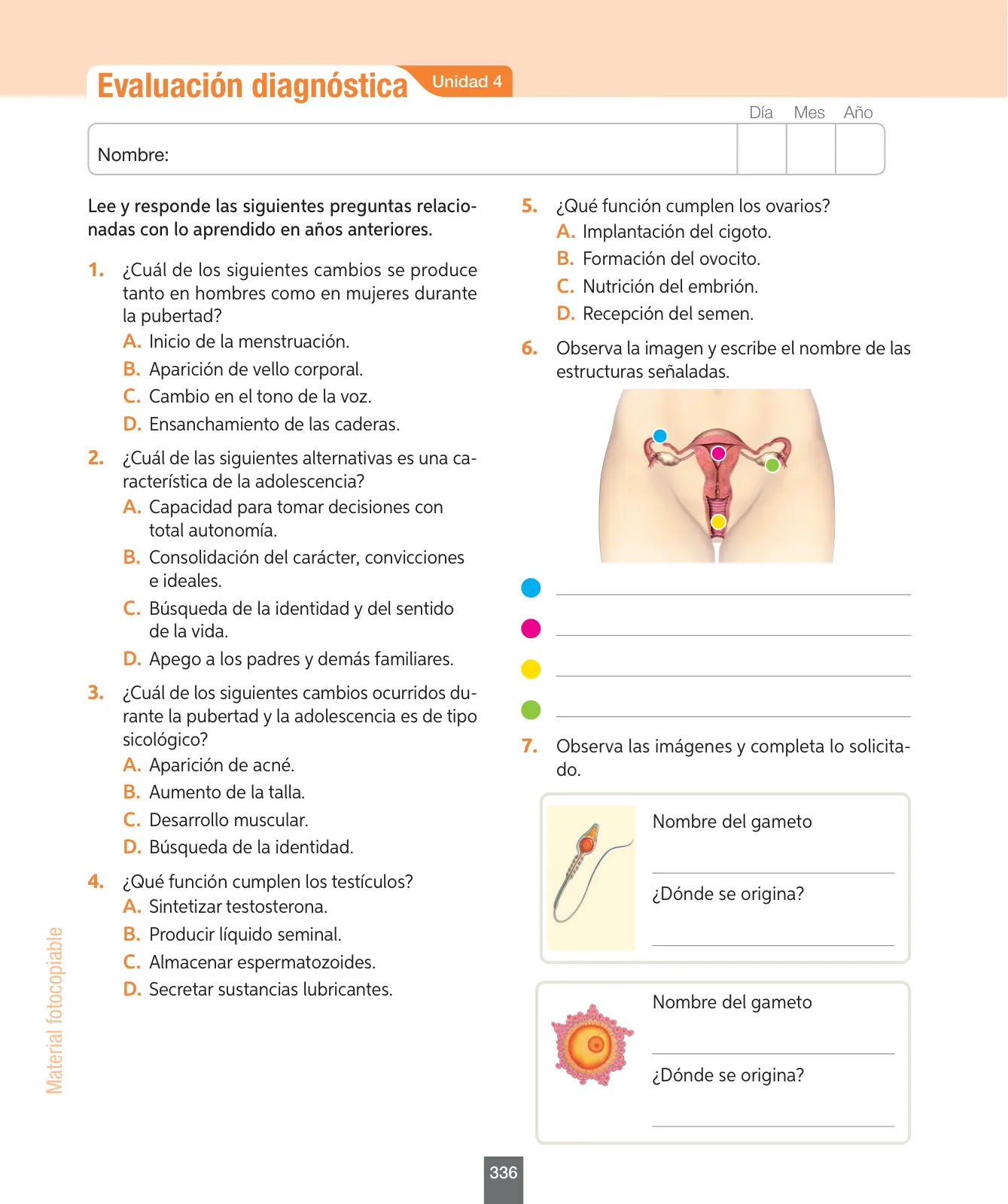 Página 161 de Ciencias Naturales – Séptimo Básico | Texto del Estudiante MINEDUC – Descargar PDF · 2024