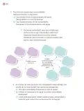Miniatura página 155 de Proyectos Comunitarios.   Libro de Educación Primaria Grado 4°  Ciclo Escolar 2025 - 2026