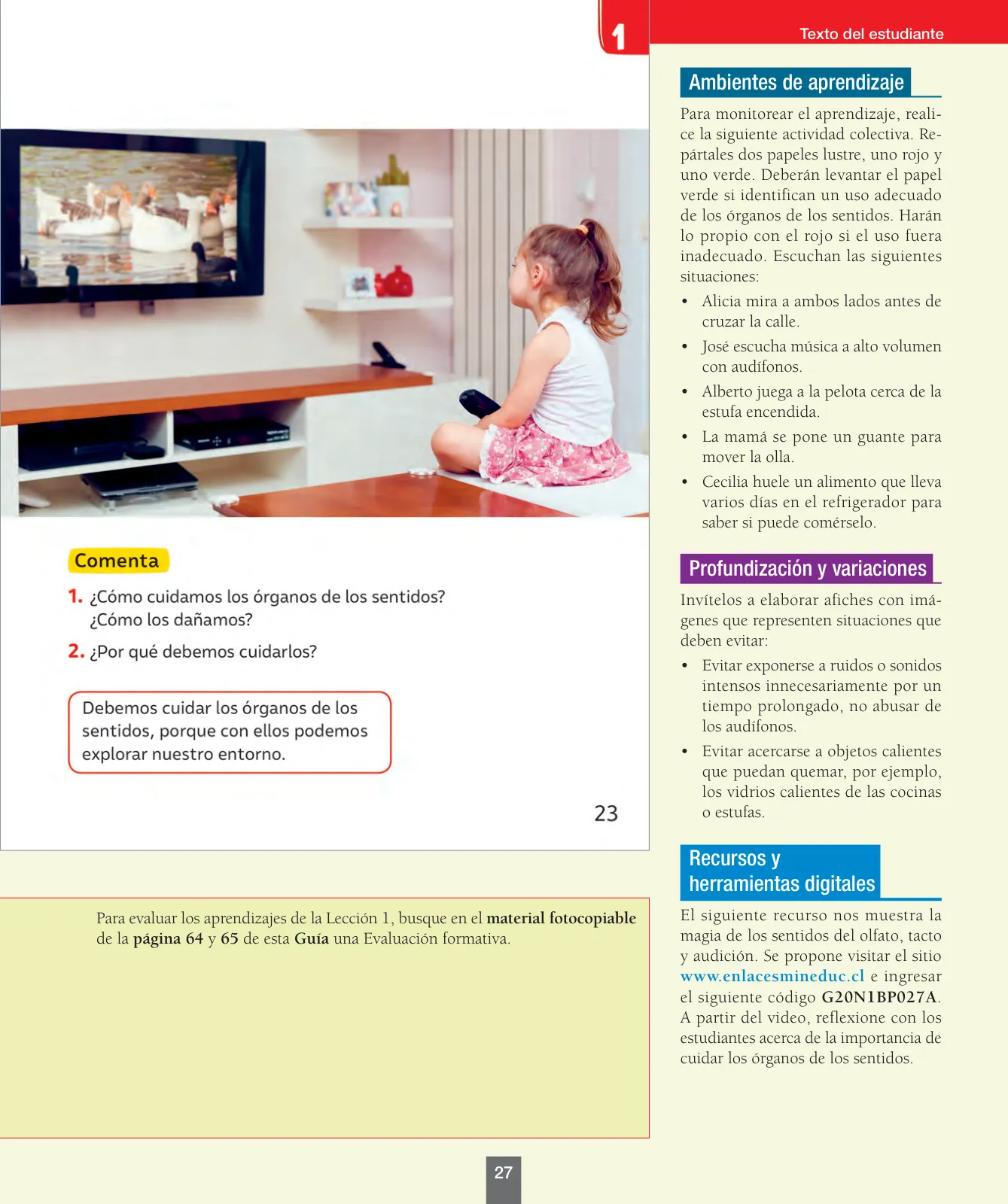 Miniatura página 28 de Ciencias Naturales – Primero Básico | Texto del Estudiante (MINEDUC) – Descargar PDF · 2024