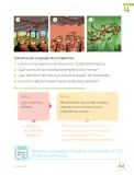 Miniatura página 143 de Lenguaje y Comunicación – Segundo Básico – Texto del Estudiante MINEDUC – Descargar PDF · 2024