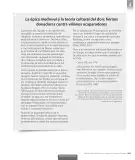 Miniatura página 241 de Lengua y Literatura – Octavo Básico | Texto del Estudiante MINEDUC – Descargar PDF · 2024