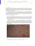 Miniatura página 36 de Aprendemos a través del lenguaje de las artes audiovisuales Fascículo 5 para estudiantes de Educación Secundaria · 2024