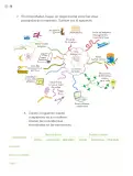 Miniatura página 93 de Proyectos de Aula.   Libro de Educación Primaria Grado 4°  Ciclo Escolar 2025 - 2026